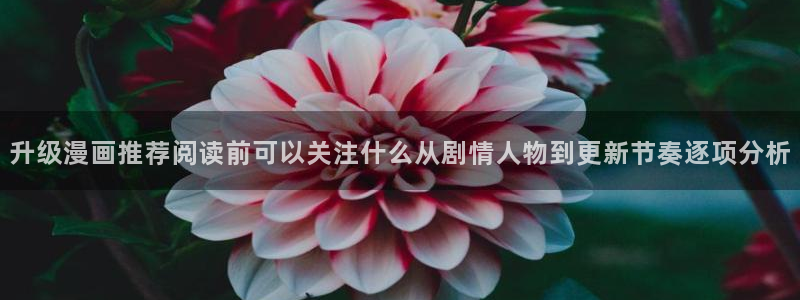 梦漫漫画最新作品