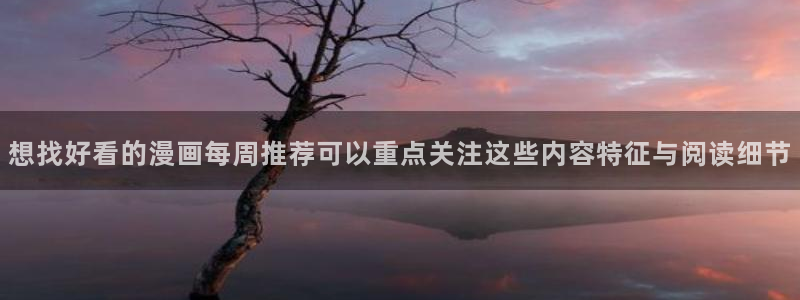 梦漫漫画APP怎么样