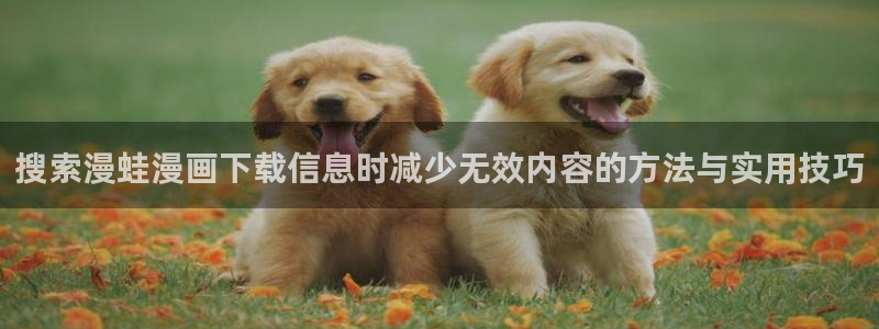 梦漫漫画作品查询：搜索漫蛙漫画下载信息时减少无效内容的方法与实用技巧